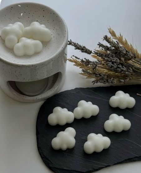 CLOUD WAX MELTS